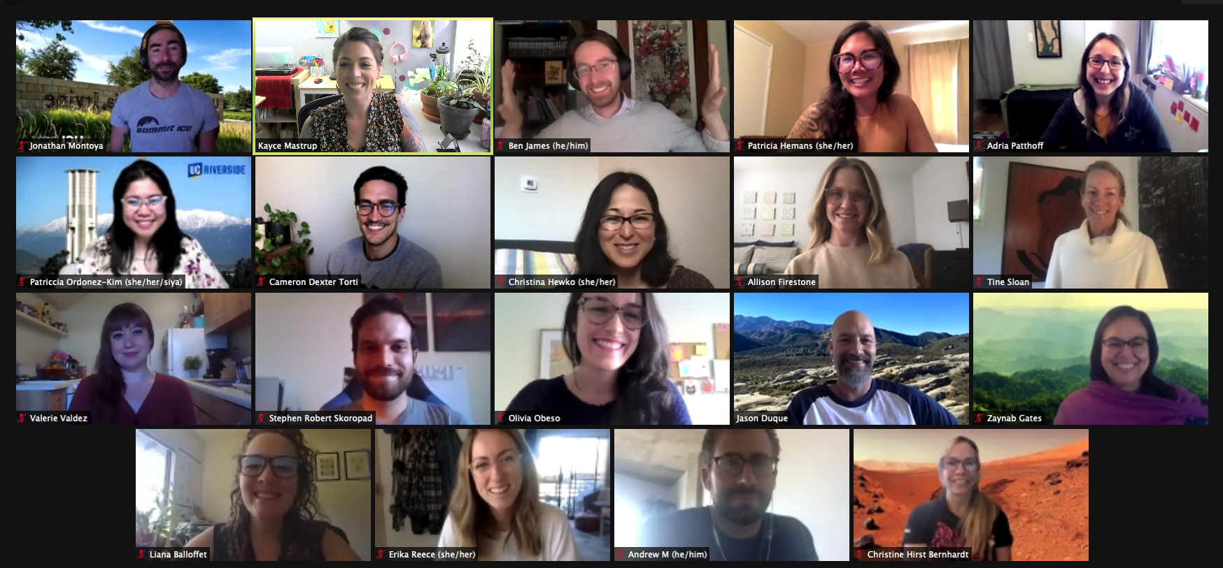 Screenshot of Zoom Call with ETE Fellows part 2